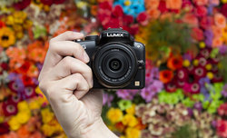 Panasonic Lumix DMC-G3 - sample images and movies Panasonic Lumix DMC-G3 - sample images and movies
