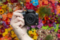 Panasonic Lumix DMC-G3 - sample images and movies