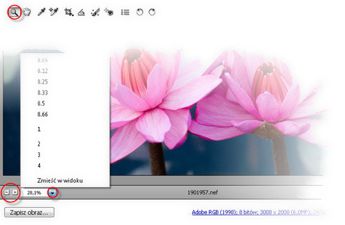 Zaklcia Photoshopa - wywoywanie plikw RAW - Podstawowe informacje o oknie Camera Raw