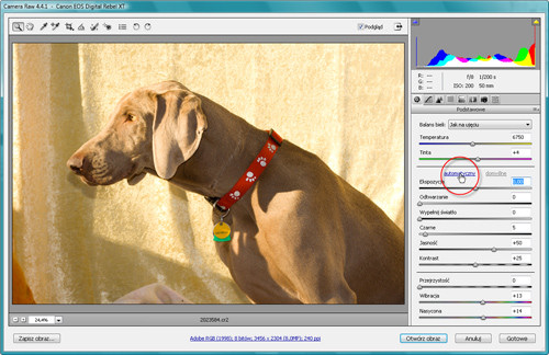 Zaklcia Photoshopa - wywoywanie plikw RAW - Automatyczna korekcja obrazw RAW