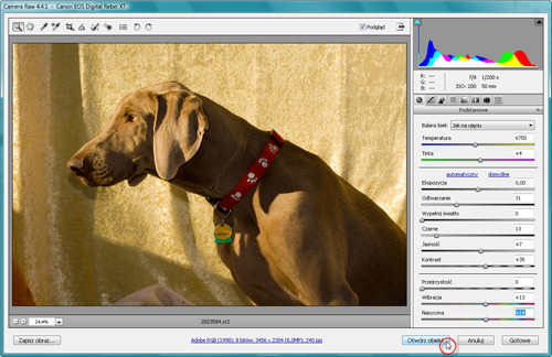 Zaklcia Photoshopa - wywoywanie plikw RAW - Otwieranie obrazw RAW w postaci inteligentnych obiektw