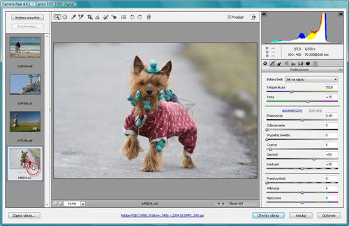 Zaklcia Photoshopa - wywoywanie plikw RAW - Przeprowadzanie korekcji na wielu obrazach jednoczenie