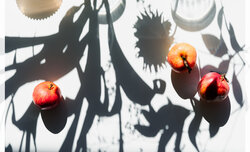 Wyniki konkursu fotograficznego e-oko.pl Wyniki konkursu fotograficznego e-oko.pl