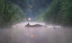 Przyroda Warta Poznania Przyroda Warta Poznania