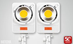 Mitoya Orca Mitoya Orca