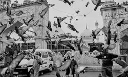 Sony World Photography Awards 2026 - znamy część finalistów Sony World Photography Awards 2026 - znamy część finalistów