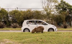 SWPA 2026 - finaliści i zdobywcy wyróżnień w konkursie profesjonalnym SWPA 2026 - finaliści i zdobywcy wyróżnień w konkursie profesjonalnym