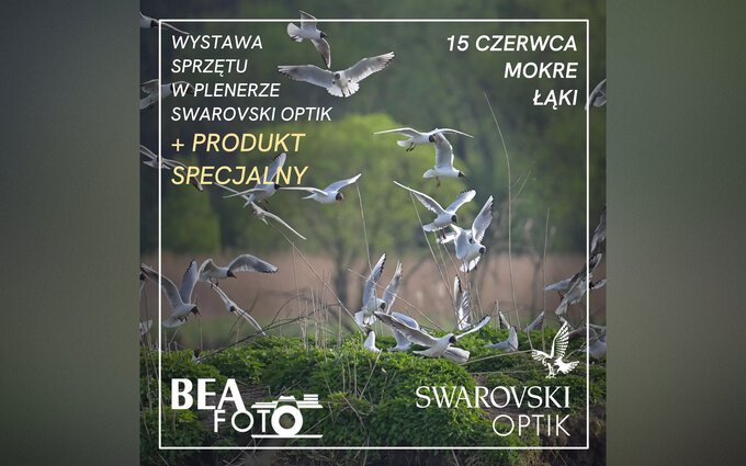 Prezentacja sprztu Swarovski Optik