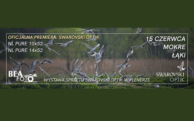 Nowe lornetki Swarovski NL Pure na pokazie Beafoto