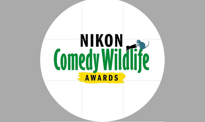 Nikon Comedy Wildlife Awards