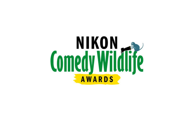 Ogoszono finalistw konkursu Nikon Comedy Wildlife Photography Awards 2024